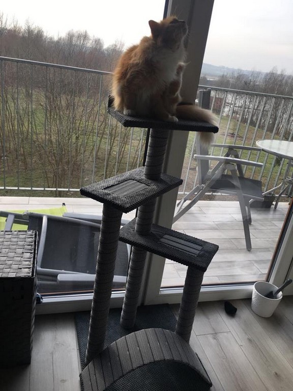Drapak nr. 18 Plus – 5