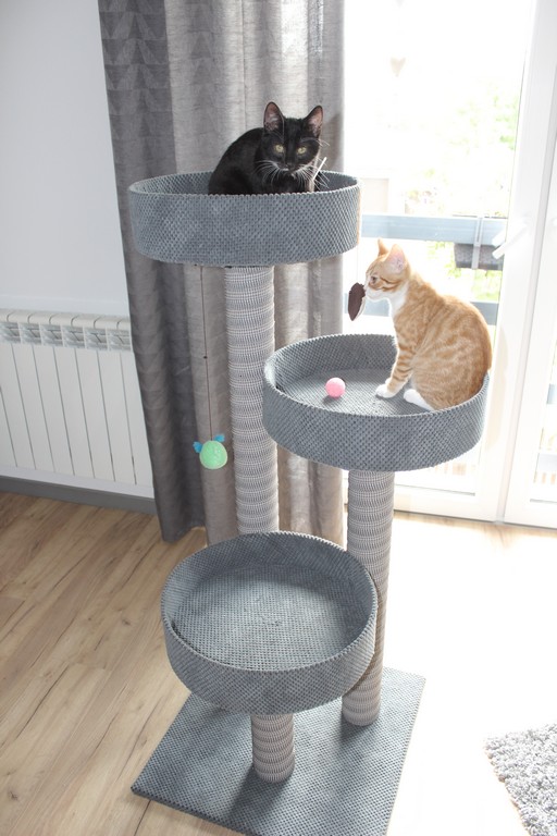 Drapak nr. 28 – 3