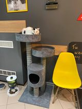 Drapak nr. 28 – 5