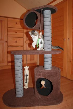 Drapak nr. 3 – 7