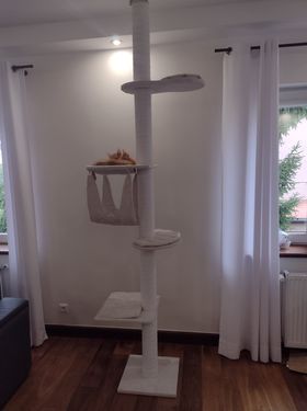 Drapak Sufitowy 2 – 30