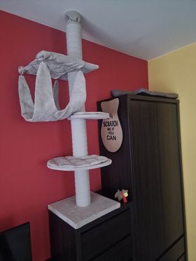 Drapak Sufitowy 2 – 59