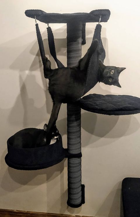 Drapak - Słupek na ścianę – 2