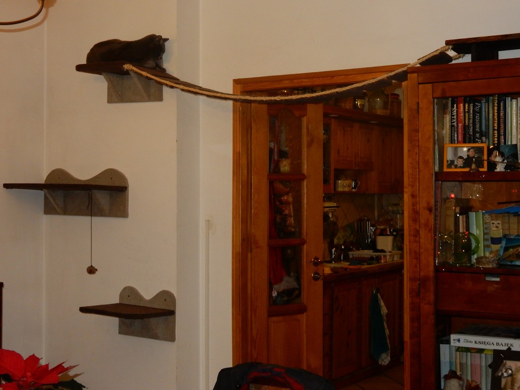 Schody - Półki na ścianę dla kota – 4