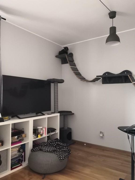 Schody - Półki na ścianę dla kota – 30