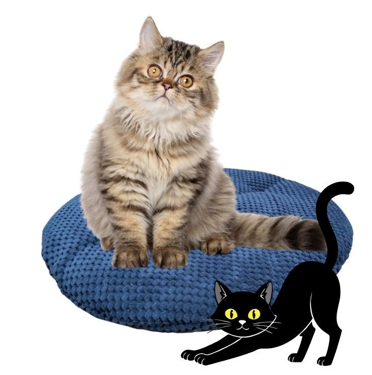 Poduszka dla kota okrągła